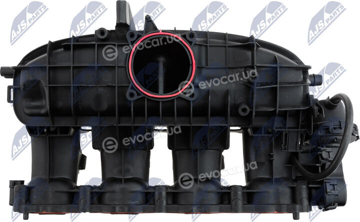 NTY BKS-VW-026