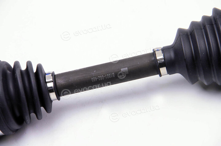 BGA DS2203L