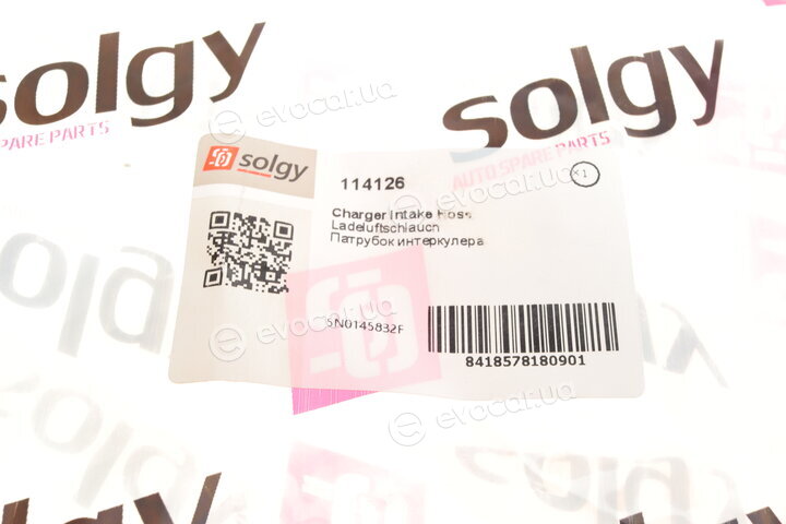 Solgy 114126