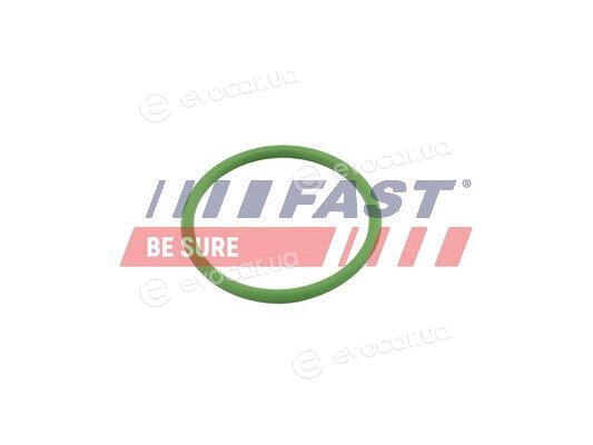 Fast FT48803