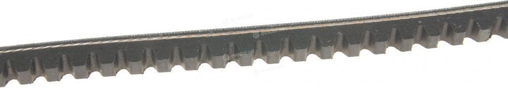 Dayco 13A0975C