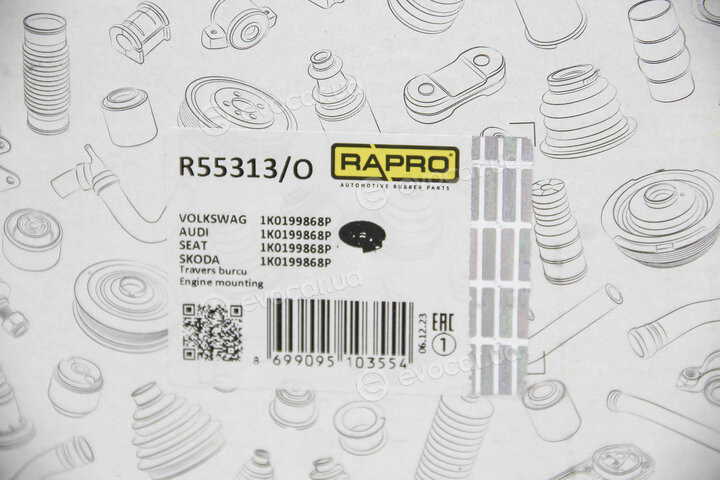 Rapro R55313/O