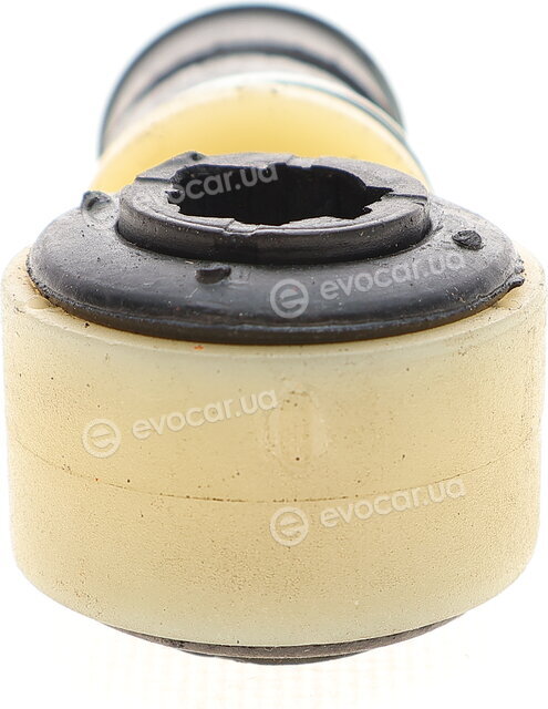 Solgy 202183