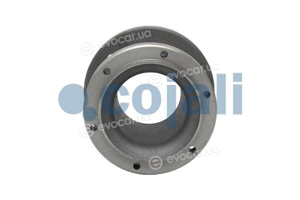 Cojali 7033421