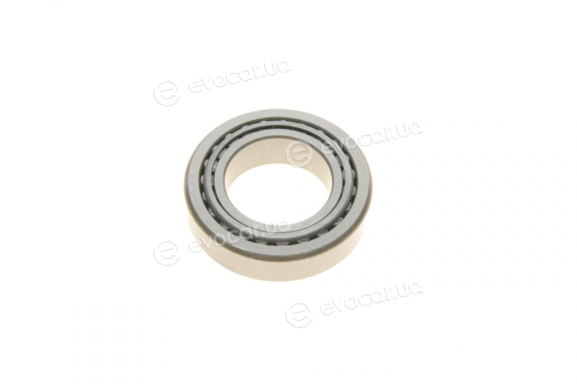 Metelli 19-2262