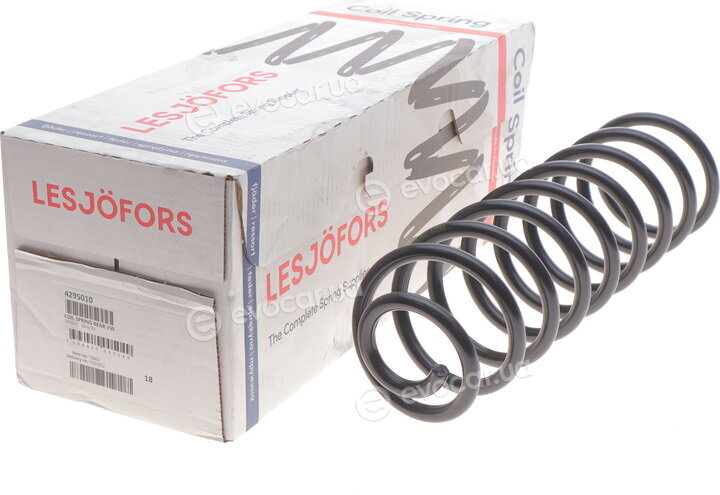 Lesjofors 4295010