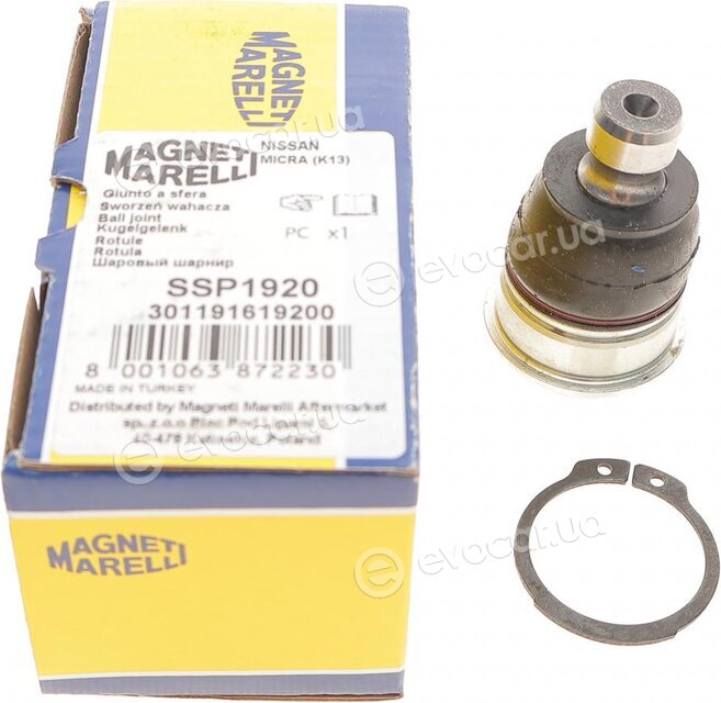 Magneti Marelli 301191619200