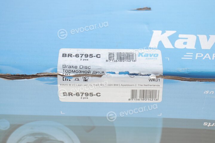 Kavo BR-6795-C