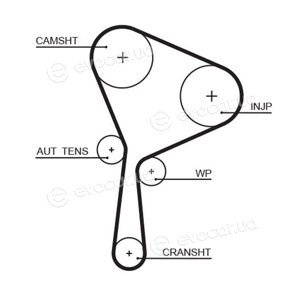 Gates K015654XS