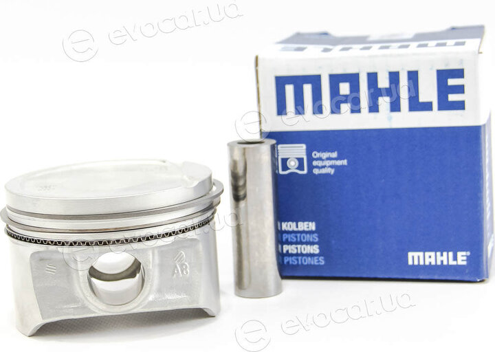 Mahle 022 06 01