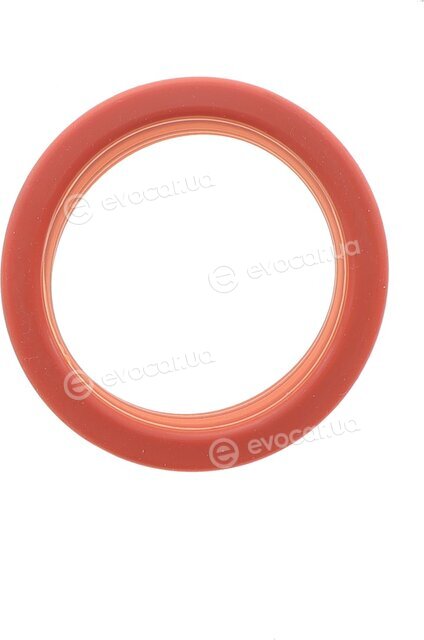 Frey 600500401