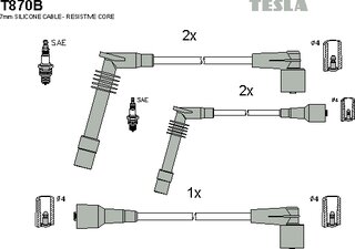 Tesla T870B