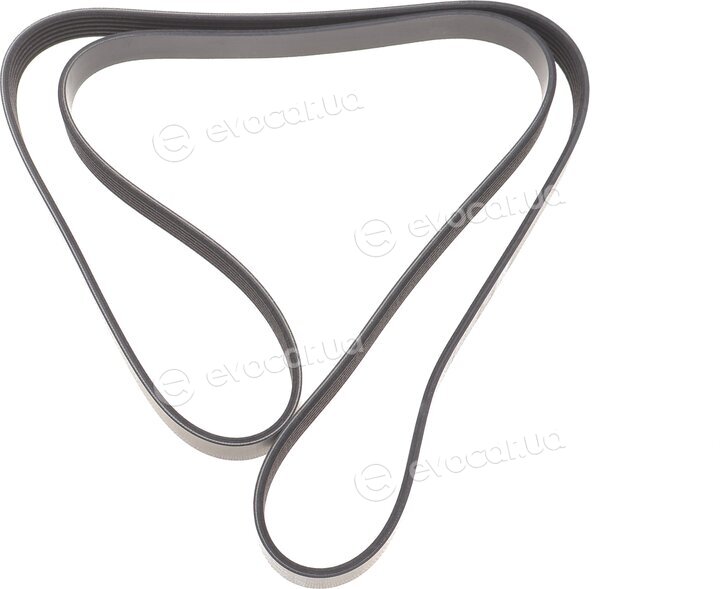 Dayco 6PK1822K