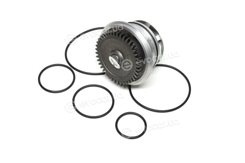 Metelli 24-1011