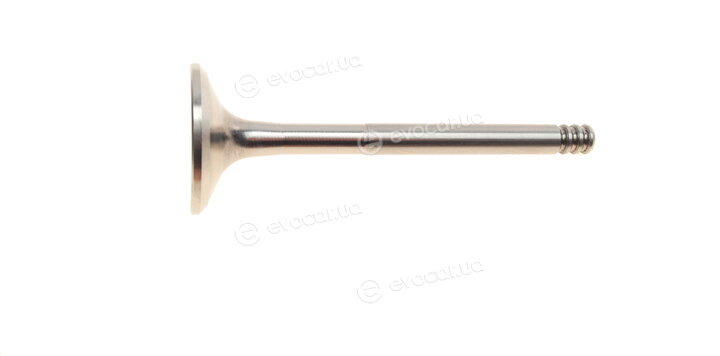 AMP PVWG066-A-0-N
