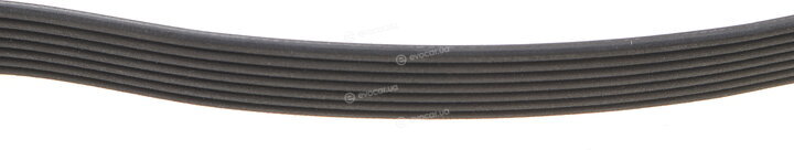 Dayco 7PK1980