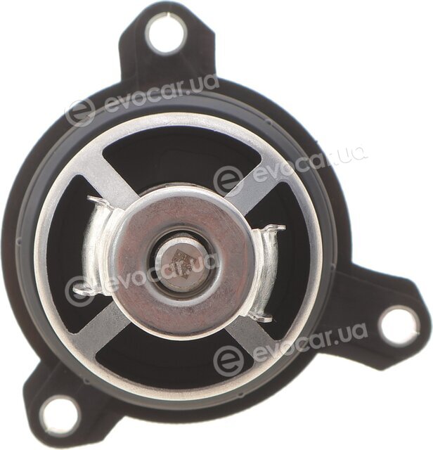 Hepu TM1389