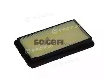 Coopers Fiaam PA7212