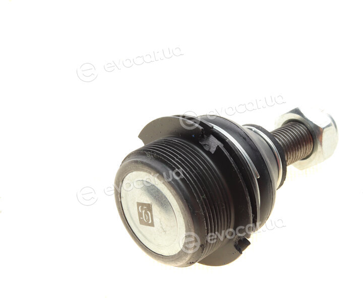 Solgy 203073