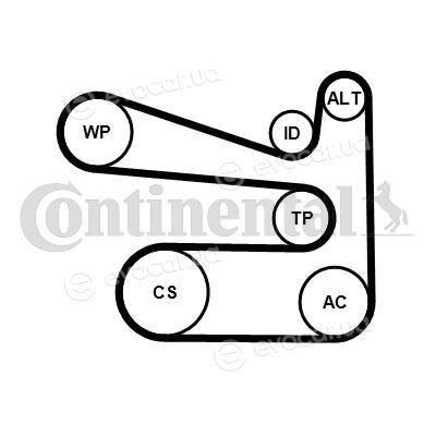 Continental 6 PK 1693 K1