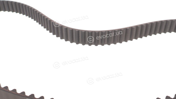 Dayco 94269