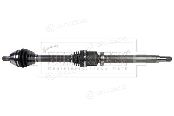 Borg & Beck BDS1031