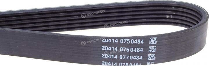 Dayco 6PK1173