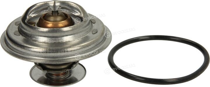 Motorad 304-84K