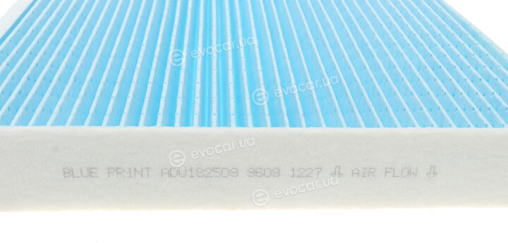 Blue Print ADV182509