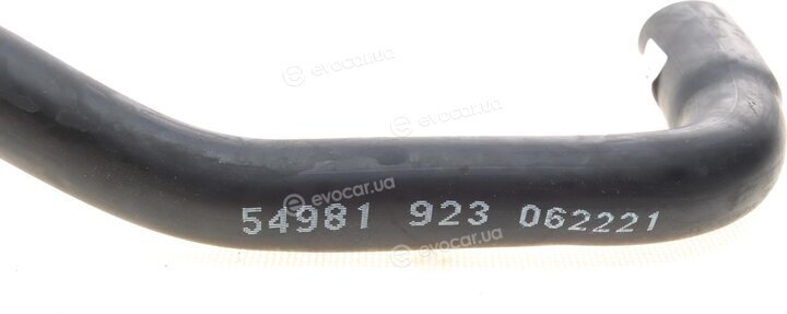 AIC 54981