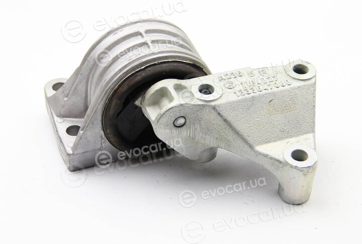 Rapro R59719