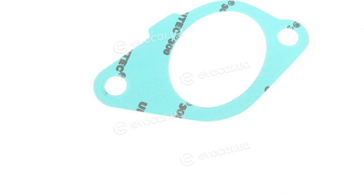 Elring 850.271