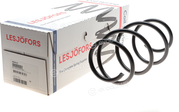Lesjofors 4008523