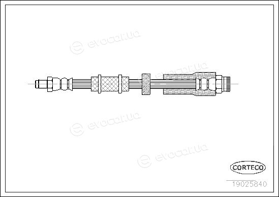 Corteco 19025840