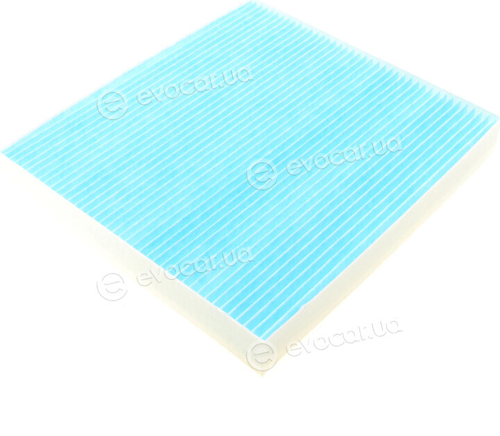 Blue Print ADG02592