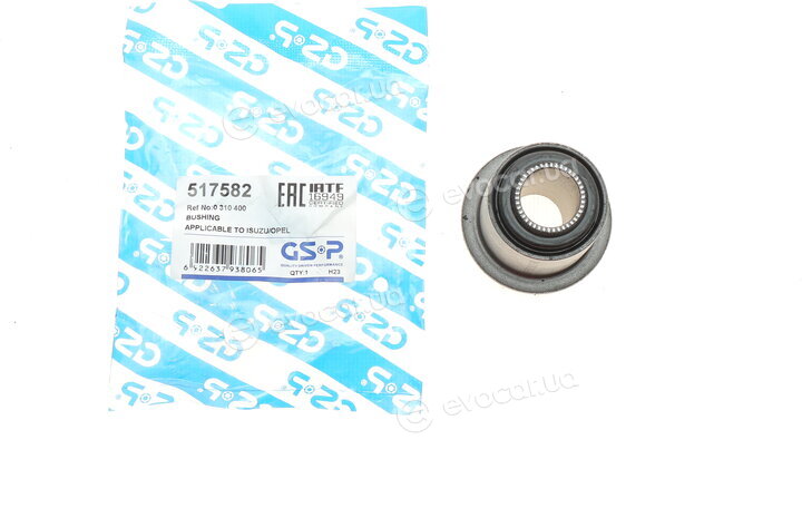 GSP 517582