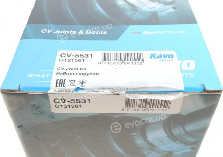 Kavo CV-5531