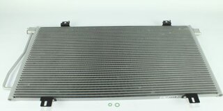 Kale 345560
