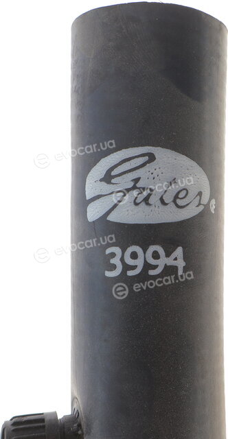 Gates 3994