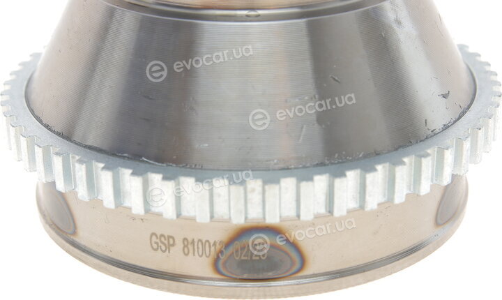 GSP 810013