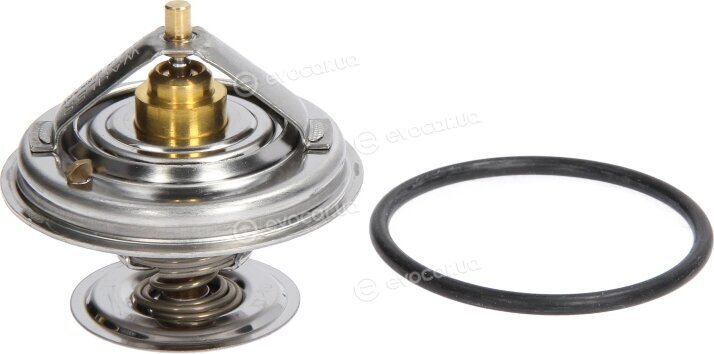 Wahler / BorgWarner 4163.79D