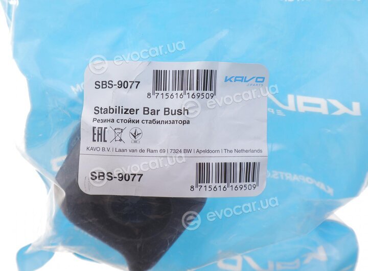 Kavo SBS-9077