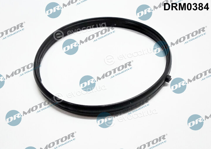 Dr. Motor DRM0384
