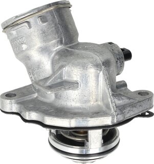 Wahler / BorgWarner 4834.100D