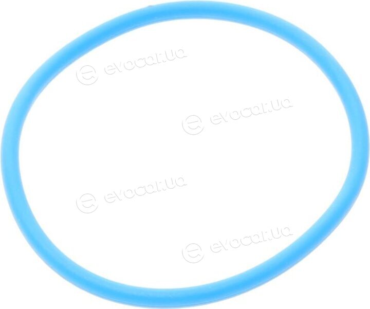 Elring 006.600