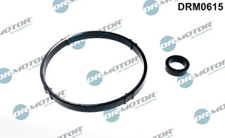 Dr. Motor DRM0615
