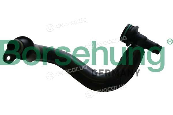 Borsehung B12306
