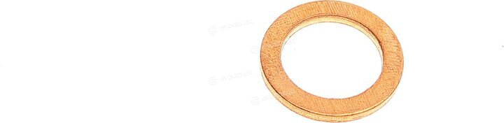 Elring 527.250