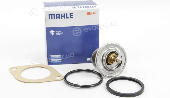 Mahle TX 13 87D