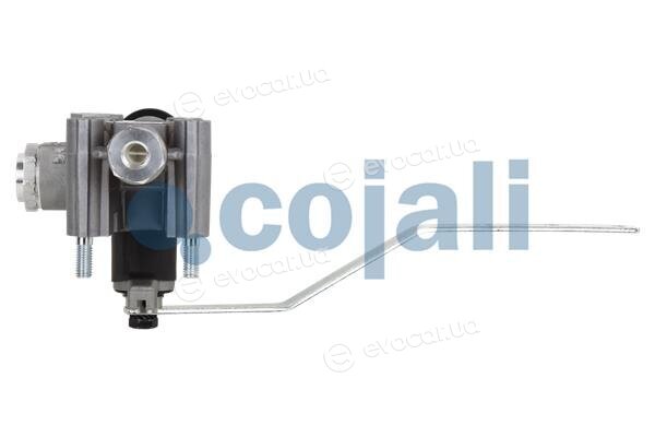 Cojali 2314319